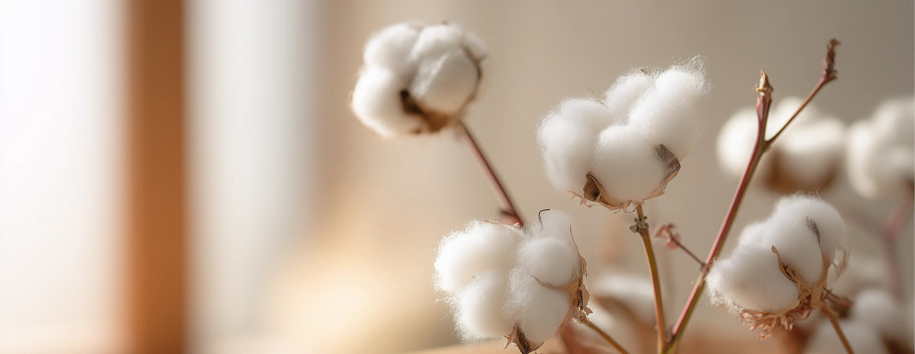 Cotton
