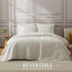 Oli Anderson Velvet Reversible Quilt Set - 3 Piece
