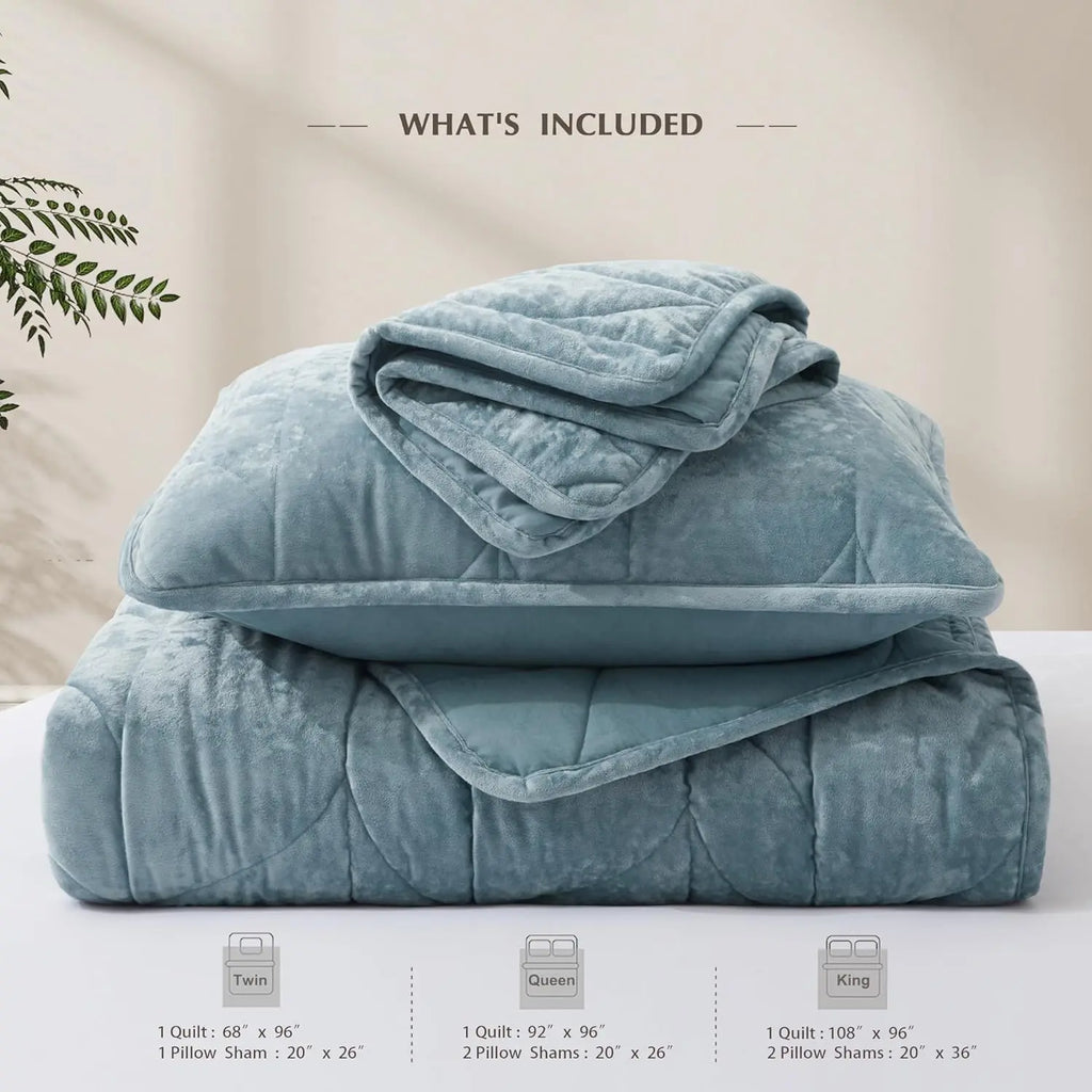 Oli Anderson Velvet Reversible Quilt Set - 3 Piece